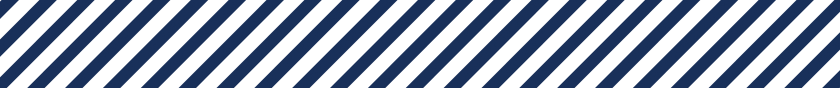 navy bars